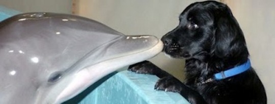 Making your Heart a Safe Place: A New Year's Resolution Making your Heart a Safe Place: A New Year's Resolution